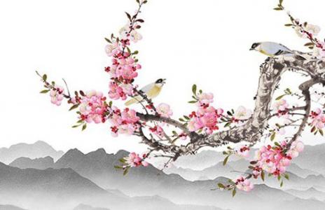 车牌数字加起来多少好 车牌号码的含义详解