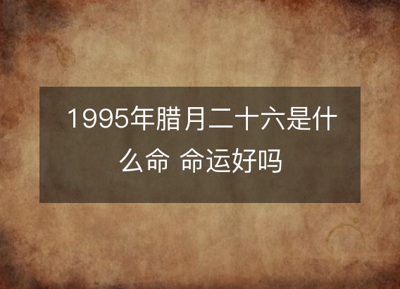 1995年腊月二十六是什么命 命运好吗