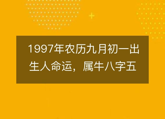 1997年农历九月初一出生人命运，属牛八字五行缺什么 性格感情详解
