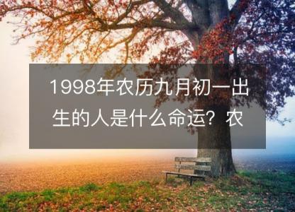 1998年农历九月初一出生的人是什么命运?农历生辰八字,事业,五行解析