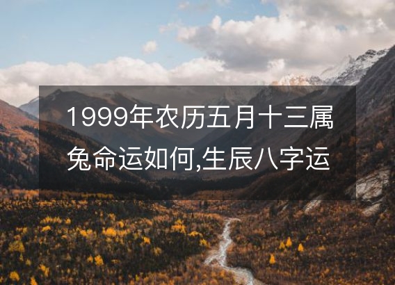 1999年农历五月十三属兔命运如何,生辰八字运势 五行查询