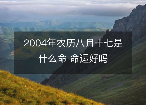 2004年农历八月十七是什么命 命运好吗
