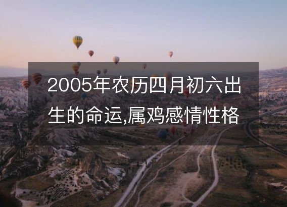 2005年农历四月初六出生的命运,属鸡感情性格 事业财运