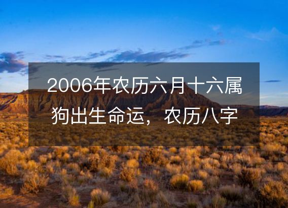 2006年农历六月十六属狗出生命运，农历八字五行缺不缺 性格特点