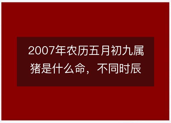 2007年农历五月初九属猪是什么命，不同时辰八字五行查询