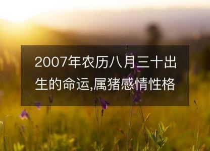2007年农历八月三十出生的命运,属猪感情性格 事业财运