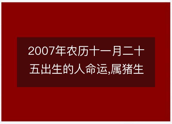 2007年农历十一月二十五出生的人命运,属猪生辰八字运势 五行查询